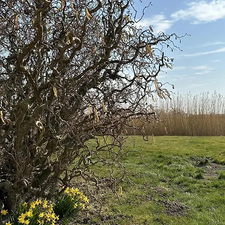 Wiesenblick *